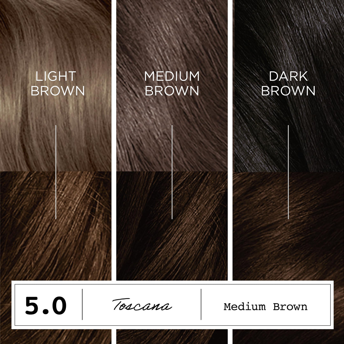 Clairol before-and-after medium brown, showing full gray coverage benefit