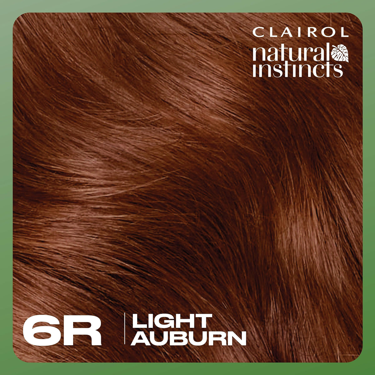 Hand holding the Clairol box to show actual kit size and portability