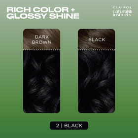 Close-up of hair texture after coloring with Clairol showing glossy finish