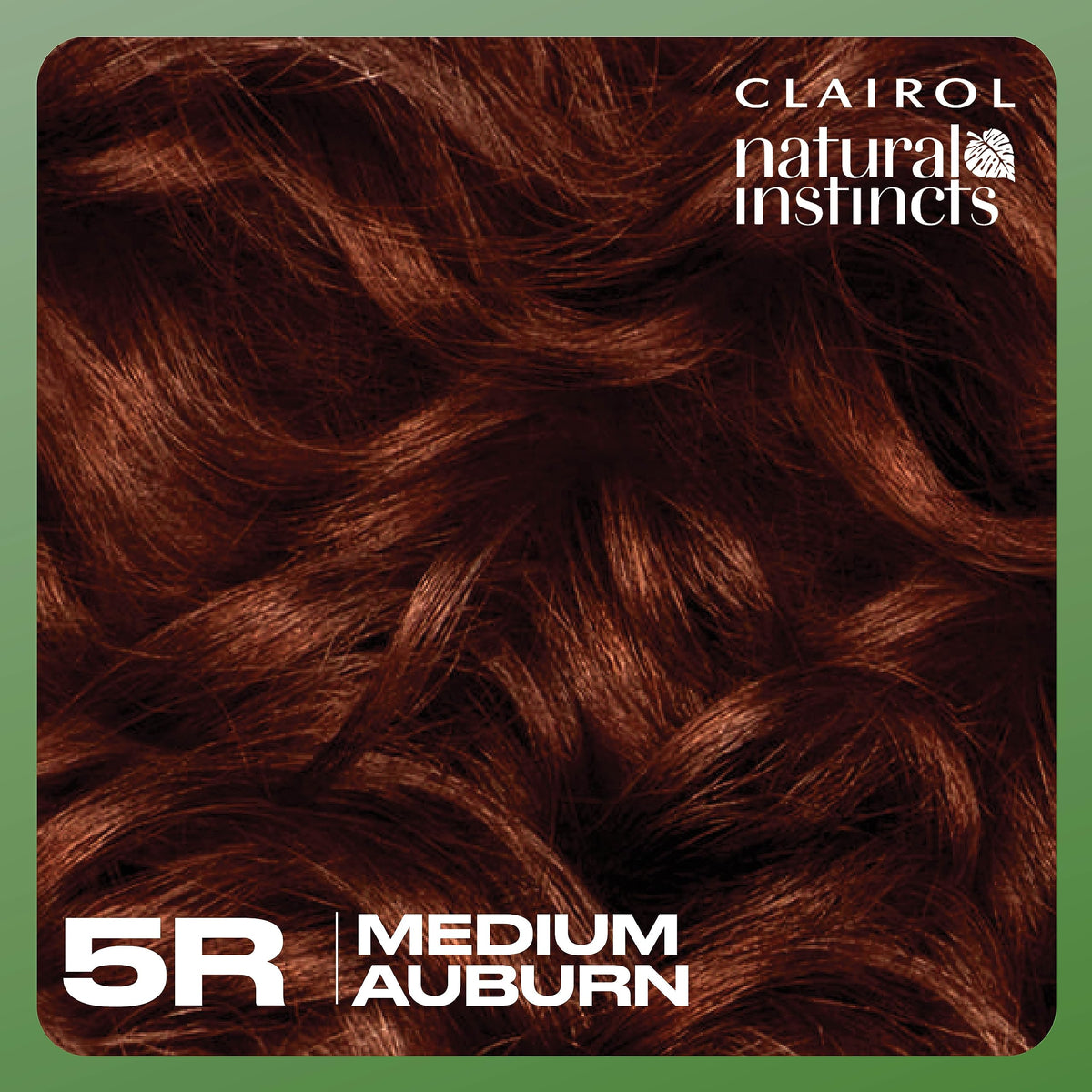 Pack of three Clairol Natural Instincts kits in hand for scale and quantity