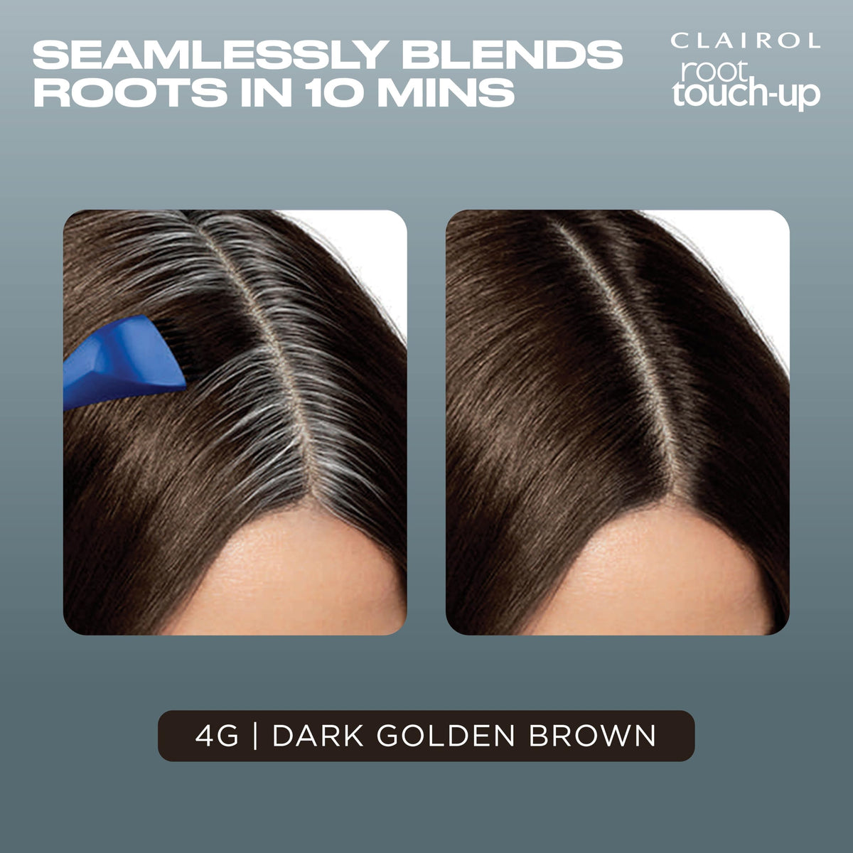 Clairol Nice'n Easy brush and bowl detail demonstrating precise root placement