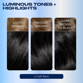 Clairol Nice'n Easy before and after hair comparison showing full gray coverage