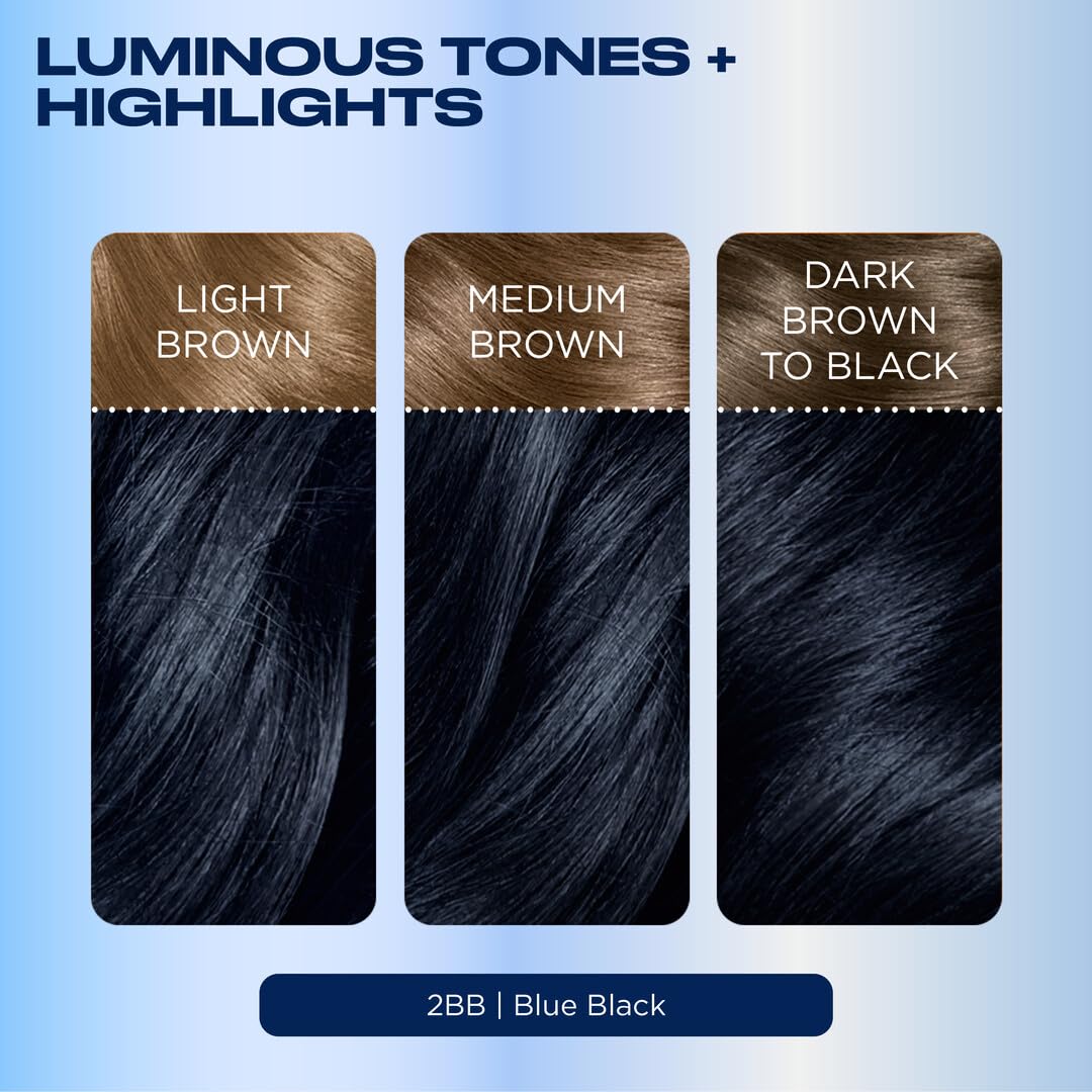 Clairol Nice'n Easy before and after showing full gray coverage