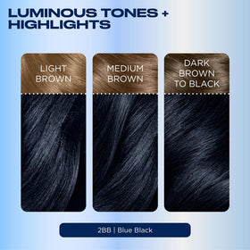 Clairol Nice'n Easy before and after showing full gray coverage