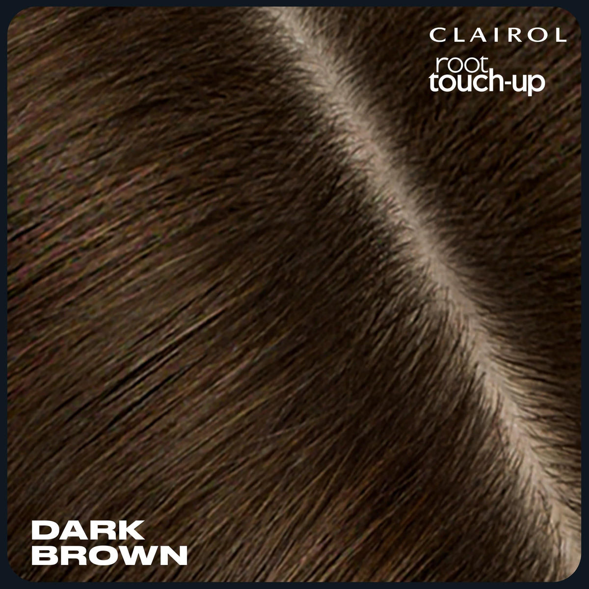 Clairol two-pack next to coin for scale and travel-ready convenience