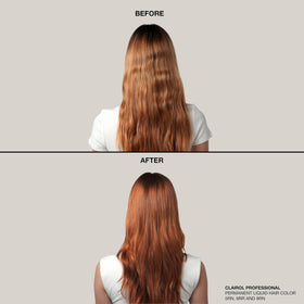 Clairol Professional color swatch chart with 4N neutral shade for accurate matching