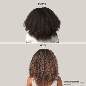 Clairol Professional application brush applying creme for precise salon results