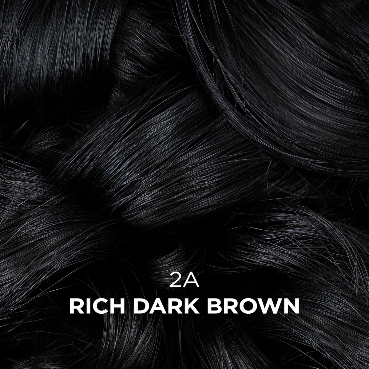 Clairol Professional applying color at the hairline for precise gray blending