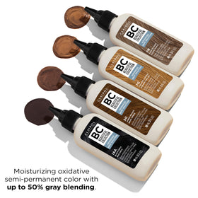 Clairol Professional before and after blending gray showing natural-looking transition