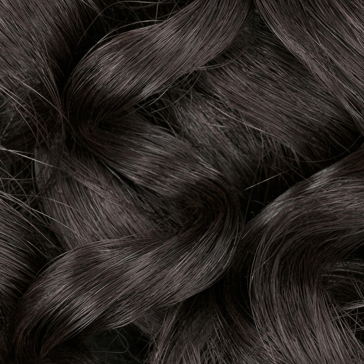 Clairol Professional label and shade 5N detail highlighting neutral brown tone