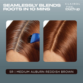 Clairol color tube and developer bottle ready to mix for permanent coverage