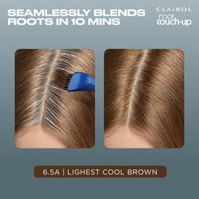 Clairol tube and developer bottle staged to show easy mixing and use