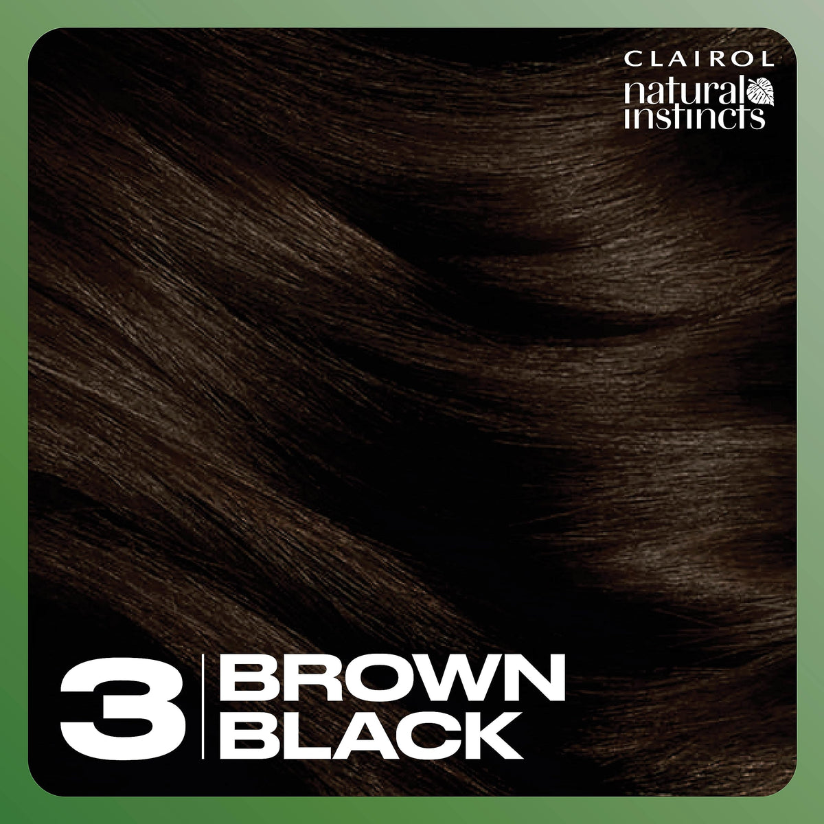 Clairol kit held in hand to show true size and components for scale comparison