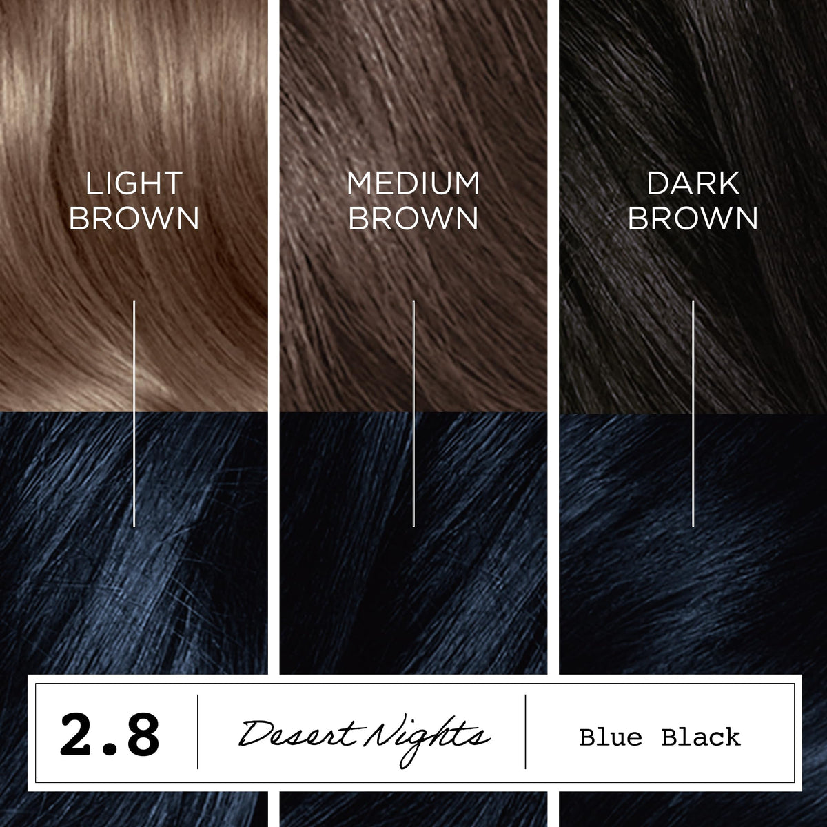 Hair swatches of Desert Nights on strands showing Clairol multidimensional blue‑black tone