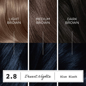 Hair swatches of Desert Nights on strands showing Clairol multidimensional blue‑black tone