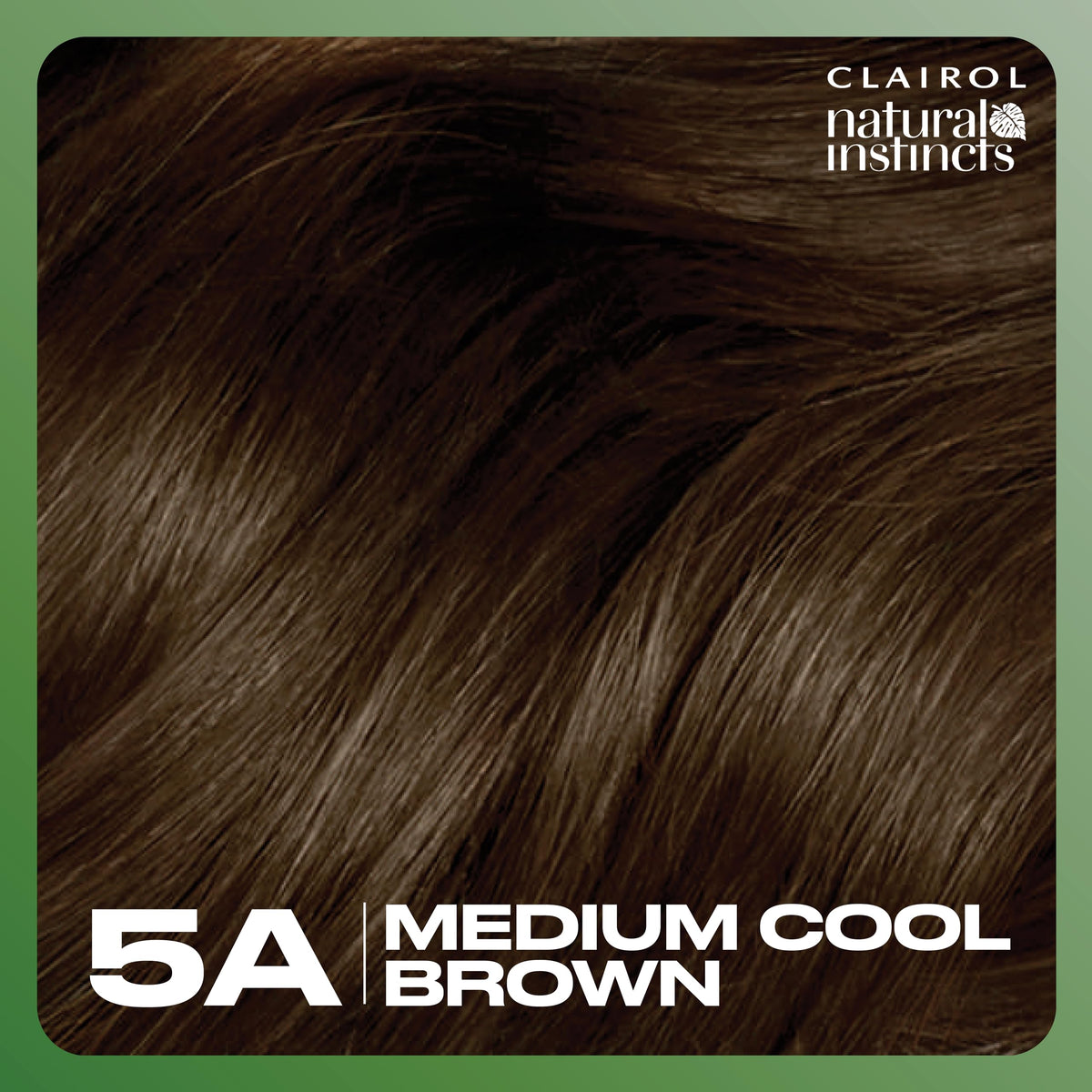 Clairol texture and shine detail reflecting glossy conditioned hair after use