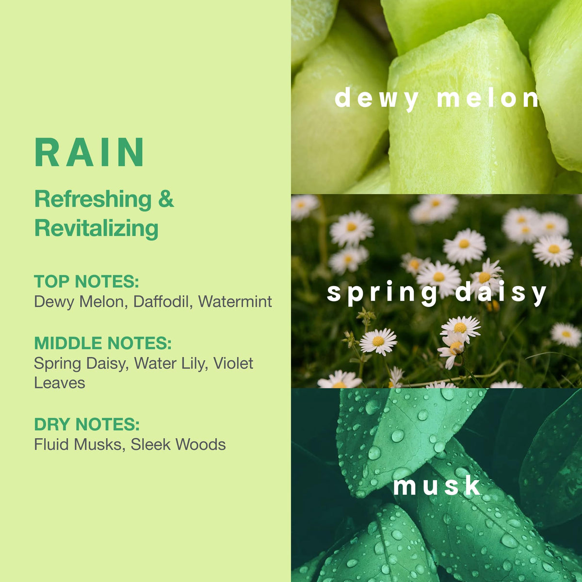 CLEAN label detail with scent names visible for identifying fragrances quickly