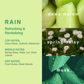 CLEAN label detail with scent names visible for identifying fragrances quickly