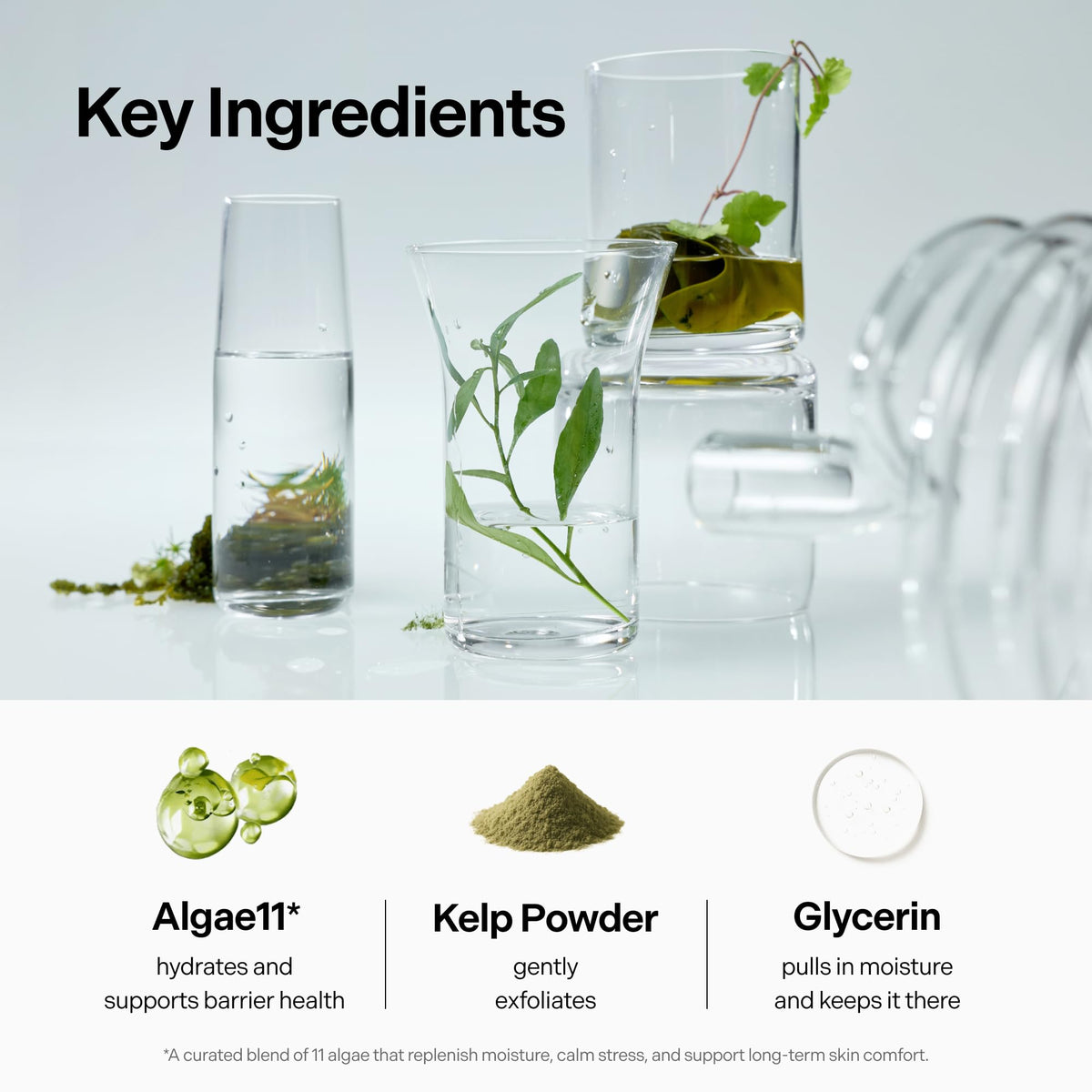 coeternal 100ml size comparison to everyday items for scale