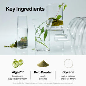 coeternal 100ml size comparison to everyday items for scale