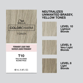 COLORCHARM T10 applied with brush demonstrating efficient salon-style use