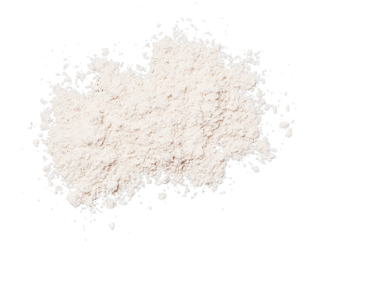 Colorescience brush bristles close-up highlighting antimicrobial hygiene