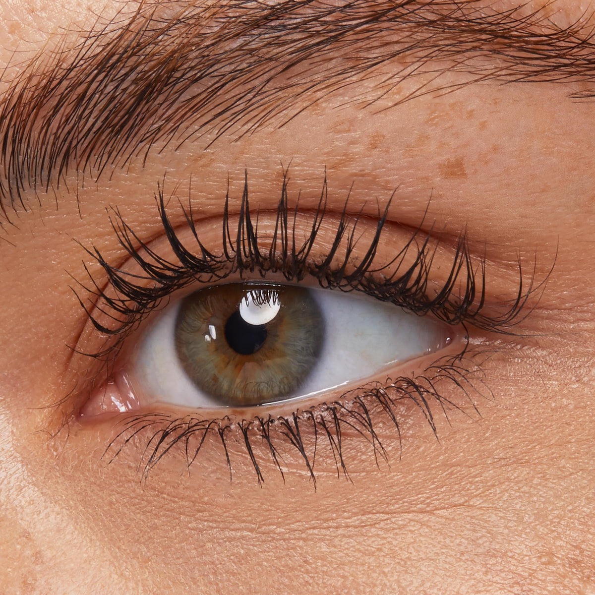 ColourPop Act Natural on lashes close-up showing lift, length and defined look