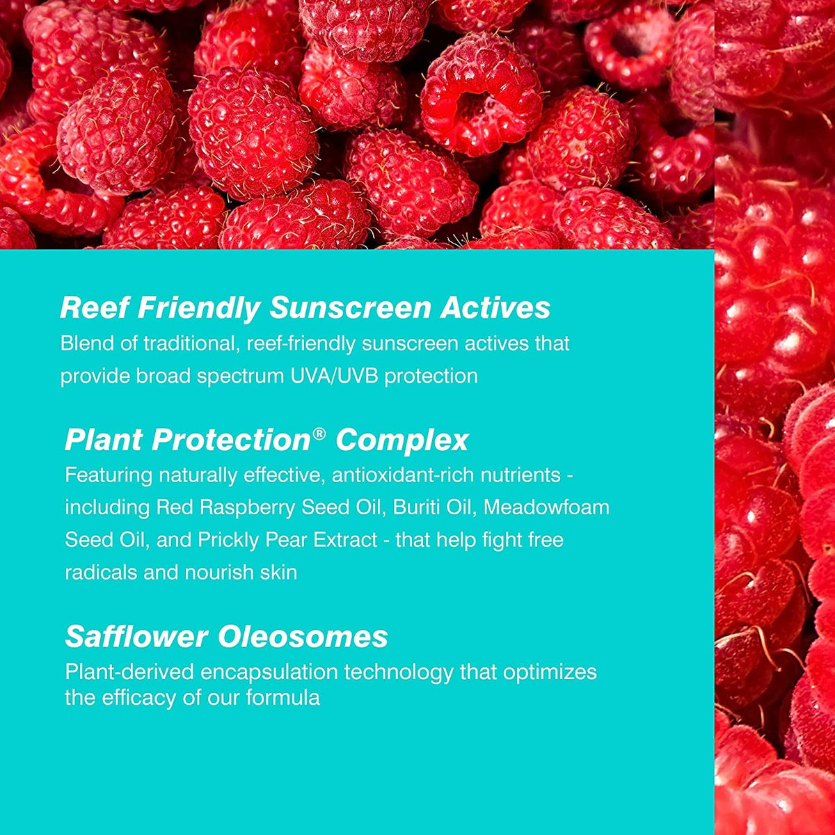 COOLA Plant Protection complex botanicals highlighting antioxidant benefit