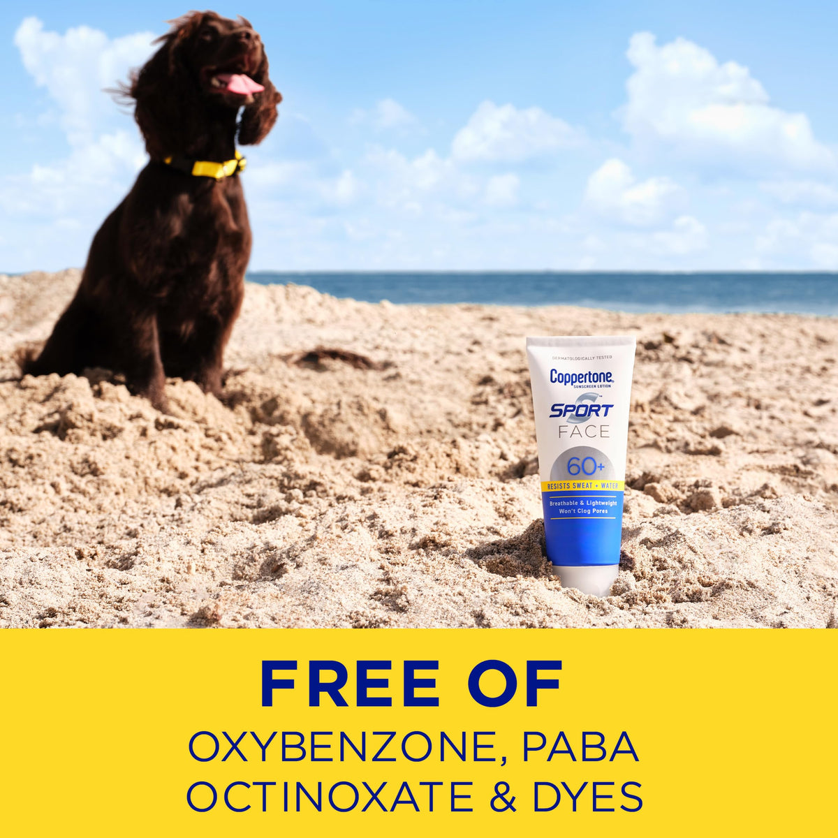 Runner holding Coppertone face sunscreen on trail showing active-use convenience