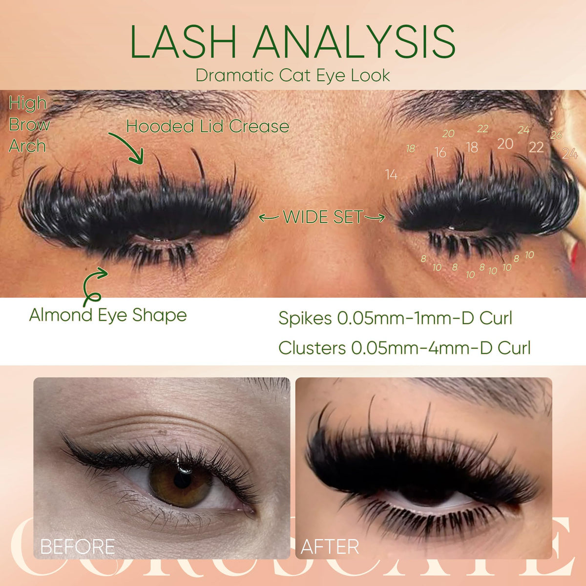 CORUSCATE bottom lash clusters beside a ruler showing compact 8–10mm size