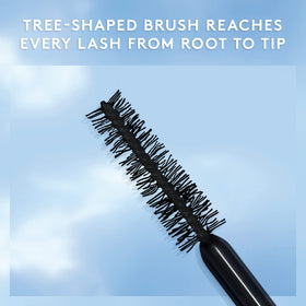COVERGIRL before and after lashes showing visible length effect