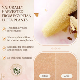 CraftsOfEgypt SERRENTO styled in travel toiletry setting for on-the-go convenience