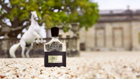 Creed Aventus 50ml beside everyday items for clear size and travel convenience
