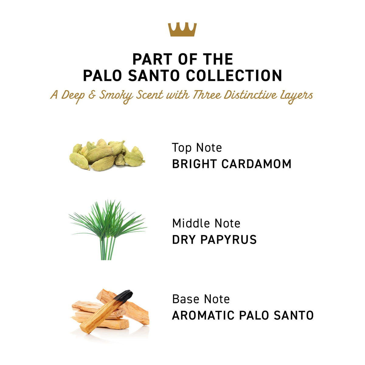 Cremo Palo Santo applied underarm in use, demonstrates long-lasting sweat control