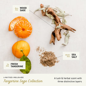 Visual of tangerine sea salt and wood sage representing Cremo evolving scent benefit