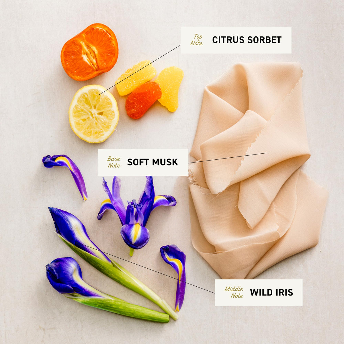 Woman using Cremo Wild Iris Musk in a steam shower, illustrating evolving fragrance and gentle cleansing.