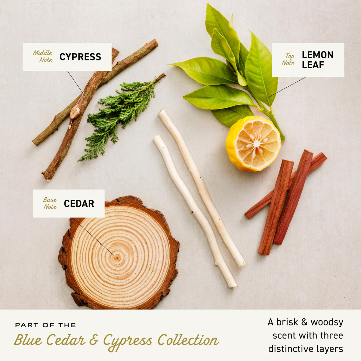 Cremo texture shot with cedar and cypress notes showcasing natural woody depth