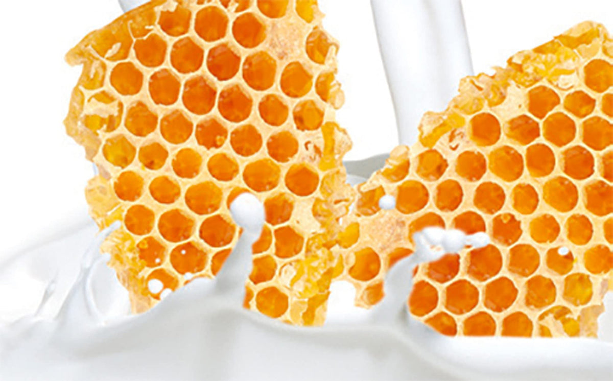 Cuccio milk and honey applied in hand demonstrating smooth non-greasy finish