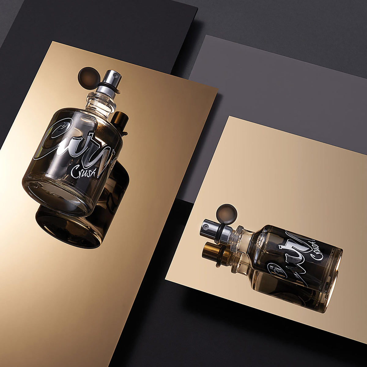 Curve Crush ingredients moodboard with pear, ginger, basil benefits