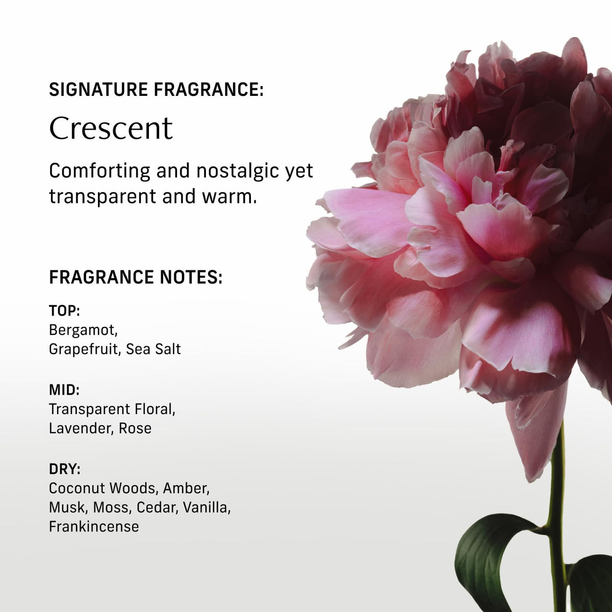 CYKLAR close ingredients shot highlighting squalane and niacinamide benefits