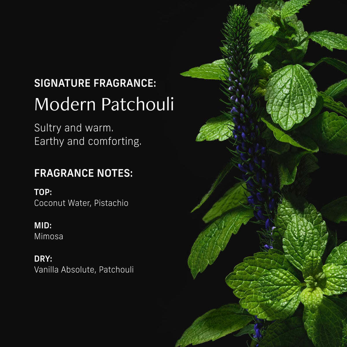 CYKLAR label details showing scent notes and ingredient clarity for informed choice