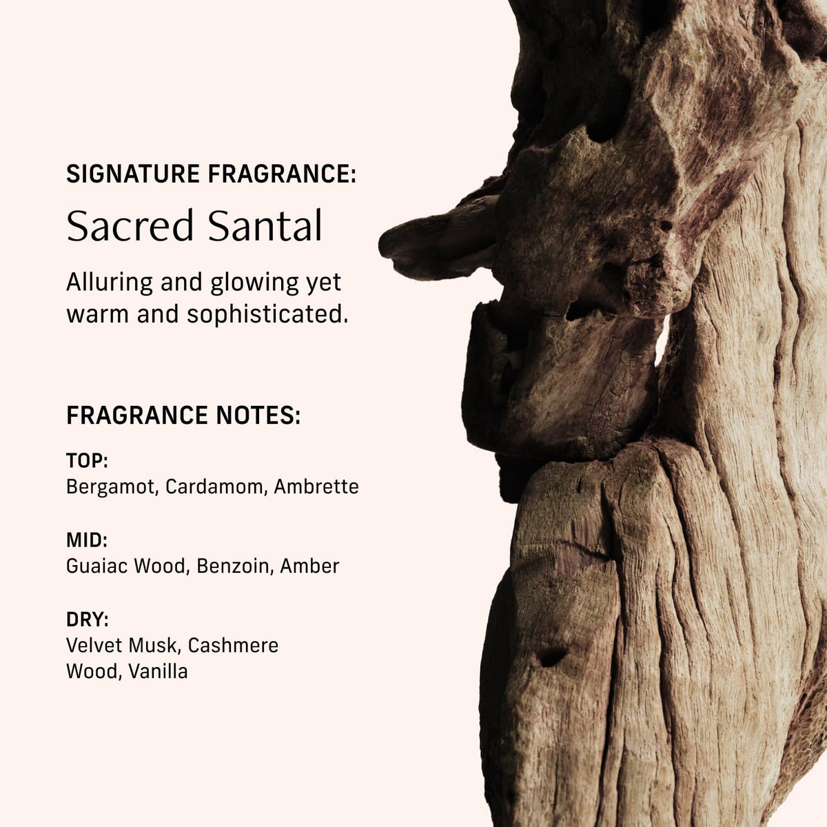 CYKLAR Sacred Santal held in hand demonstrating portable 15ml convenience