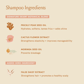 DAE bottle label detail, displays product benefits and ingredients
