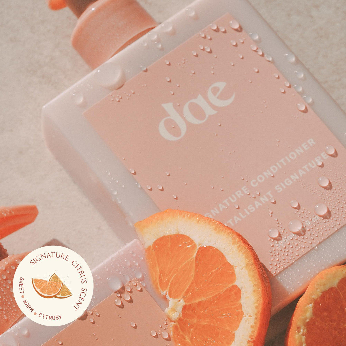 DAE conditioner with moringa and coconut illustrating natural ingredient benefit