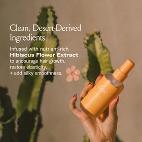 Close-up of hibiscus and prickly pear ingredients showing natural botanicals and nourishing benefit