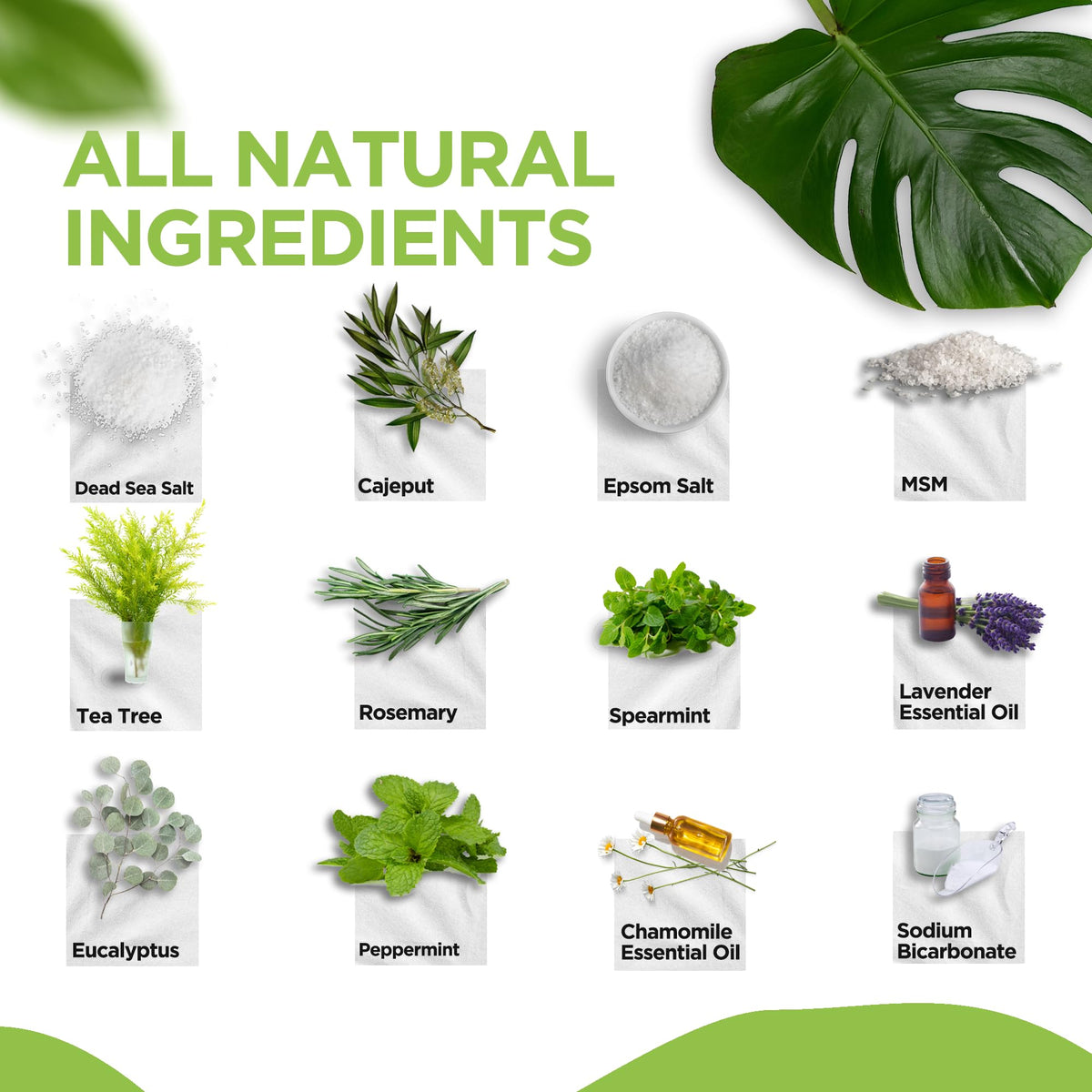 DAILY REMEDY packaging detail focusing on label and ingredient list for trust