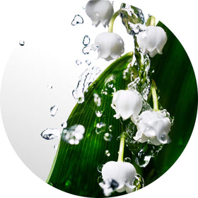 Davidoff shower gel pouring to show gentle cleansing and fragrance base