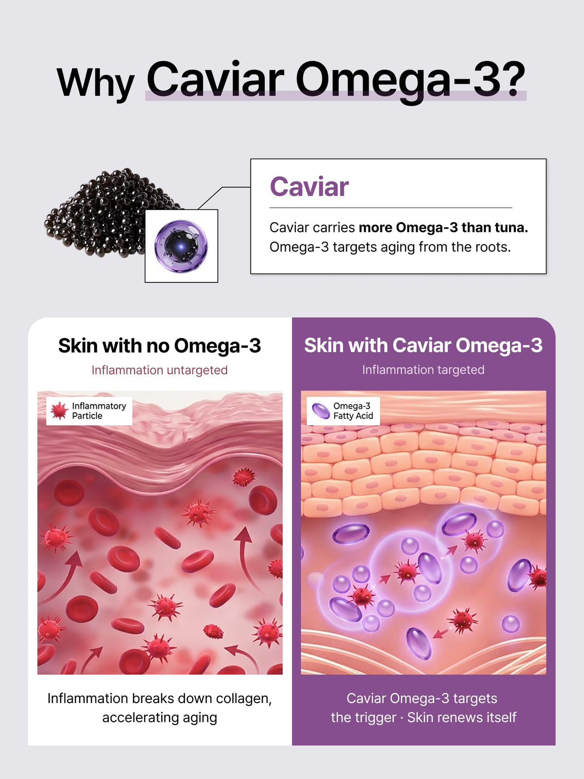Delere caviar omega ingredient shot highlighting nourishing lipids benefit