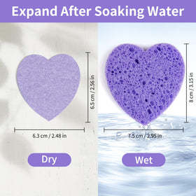derloyo sponge beside coin illustrating compact travel-ready size benefit