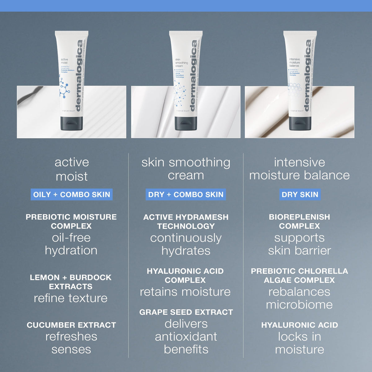 Dermalogica Active Moist ingredient label close-up highlighting silk amino acids and plant extracts